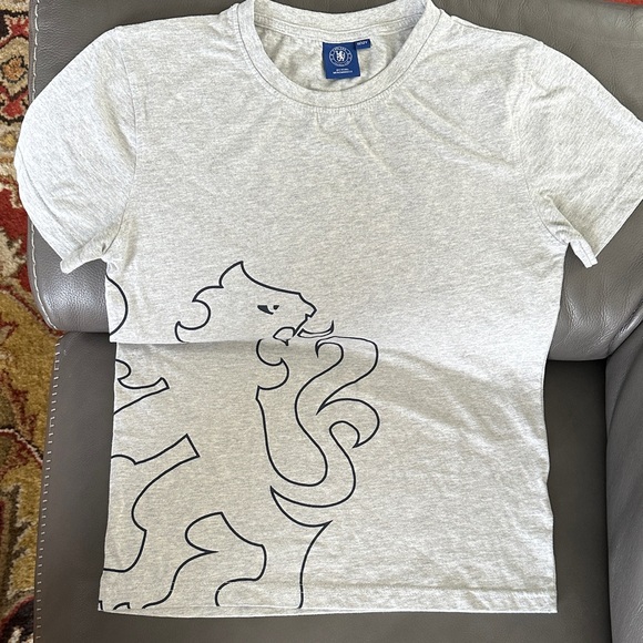 Kids' Gray Lion Graphic Tee - Picture 1 of 3